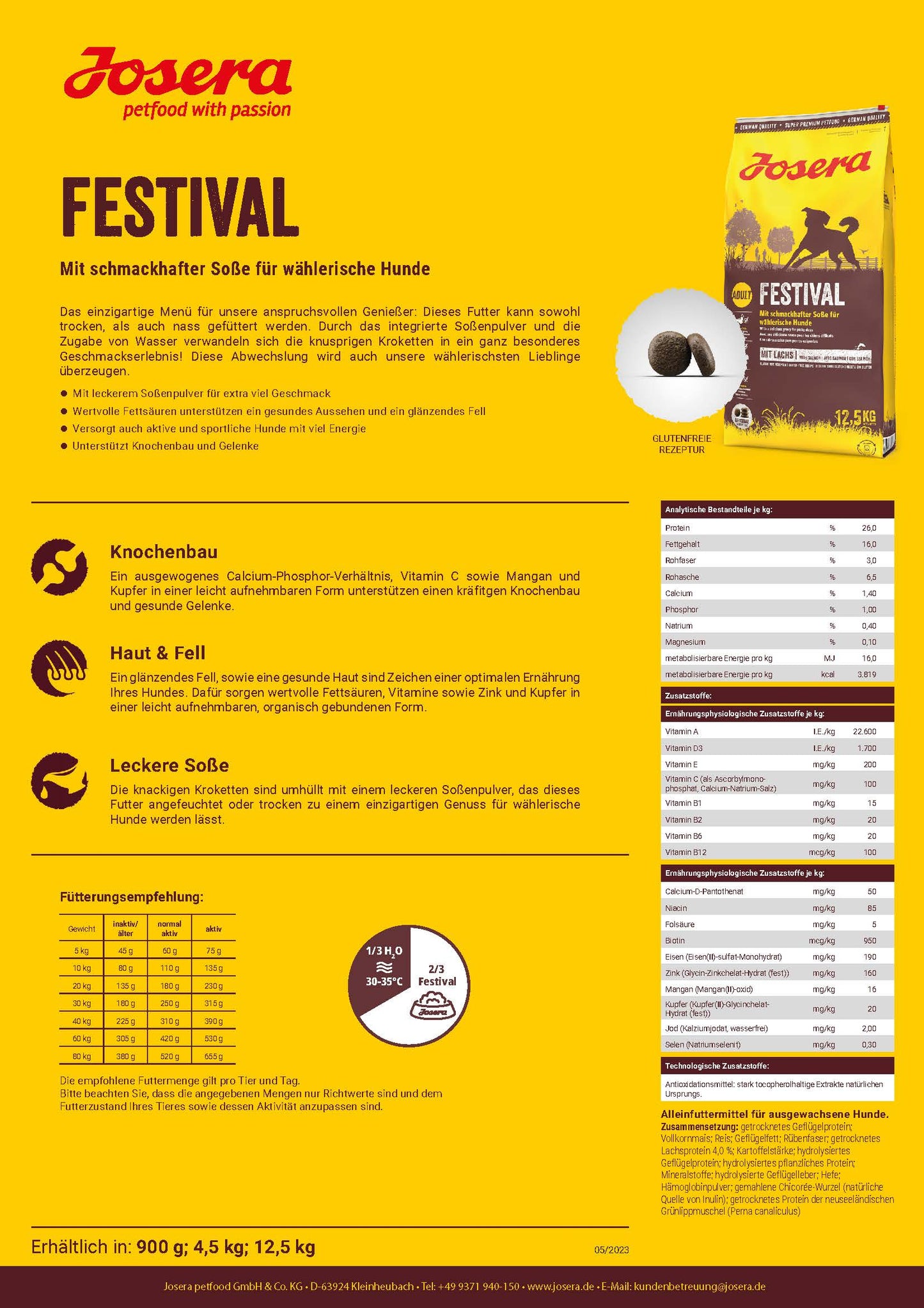 Festival