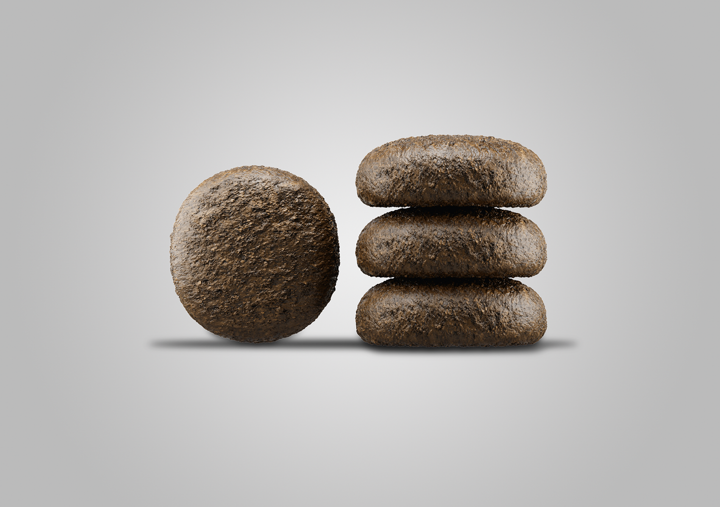 A/S Adult Festival 12,5kg