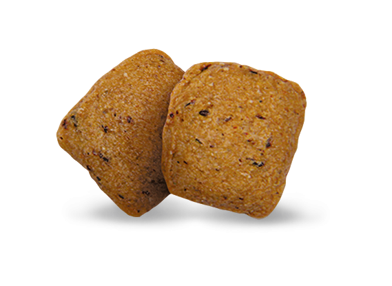 InsectDog hypoallergen 10kg